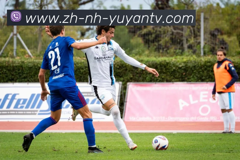 雨燕直播APP 体育赛事宣传图